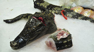 Chopped crocodile at a wet market in Guangzhou, China.